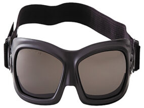 V80 Wildcat Safety Goggles Black Band