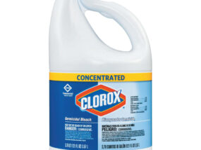 Clorox Bleach